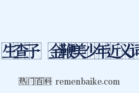 生查子·金鞭美少年近义词是什么意思的图片